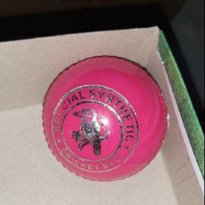 Practice Cricket Hard Ball (Synthetic) pink