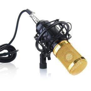 BM800 Microphone