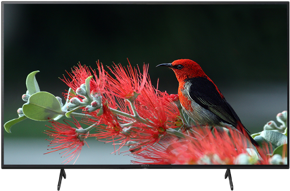 Sony Bravia X80J 55″ 4K HDR Android LED TV